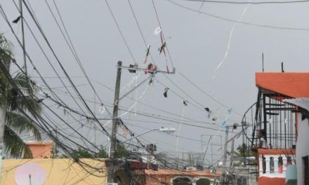 Bichara afirma que las pérdidas de energía superan el 40 %