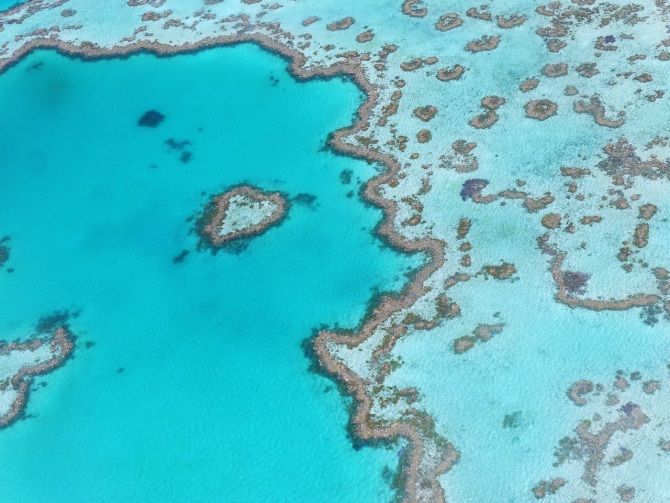 Conoce la estructura viva más grande de la Tierra