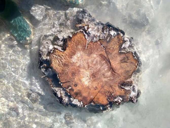 Identifican la tormenta solar más potente conocida que ha sufrido la Tierra