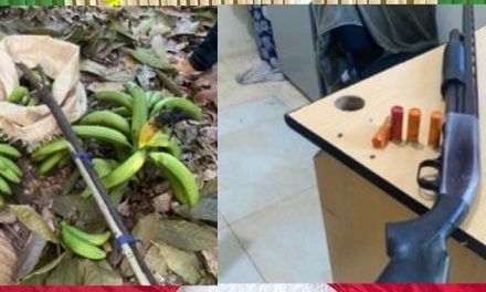 Hombre hiere a otro supuestamente por robarle plátanos en Hostos, Duarte