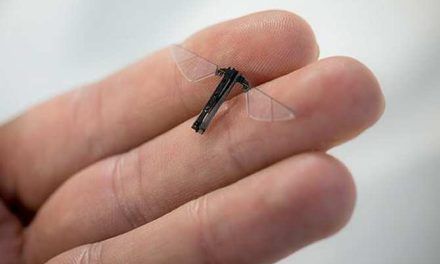 Insecto volador robótico