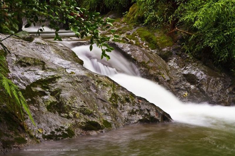 Fundación Progressio: 40 años apostando a la conservación