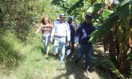 Agricultura estima pérdidas agro en RD$4,000 millones