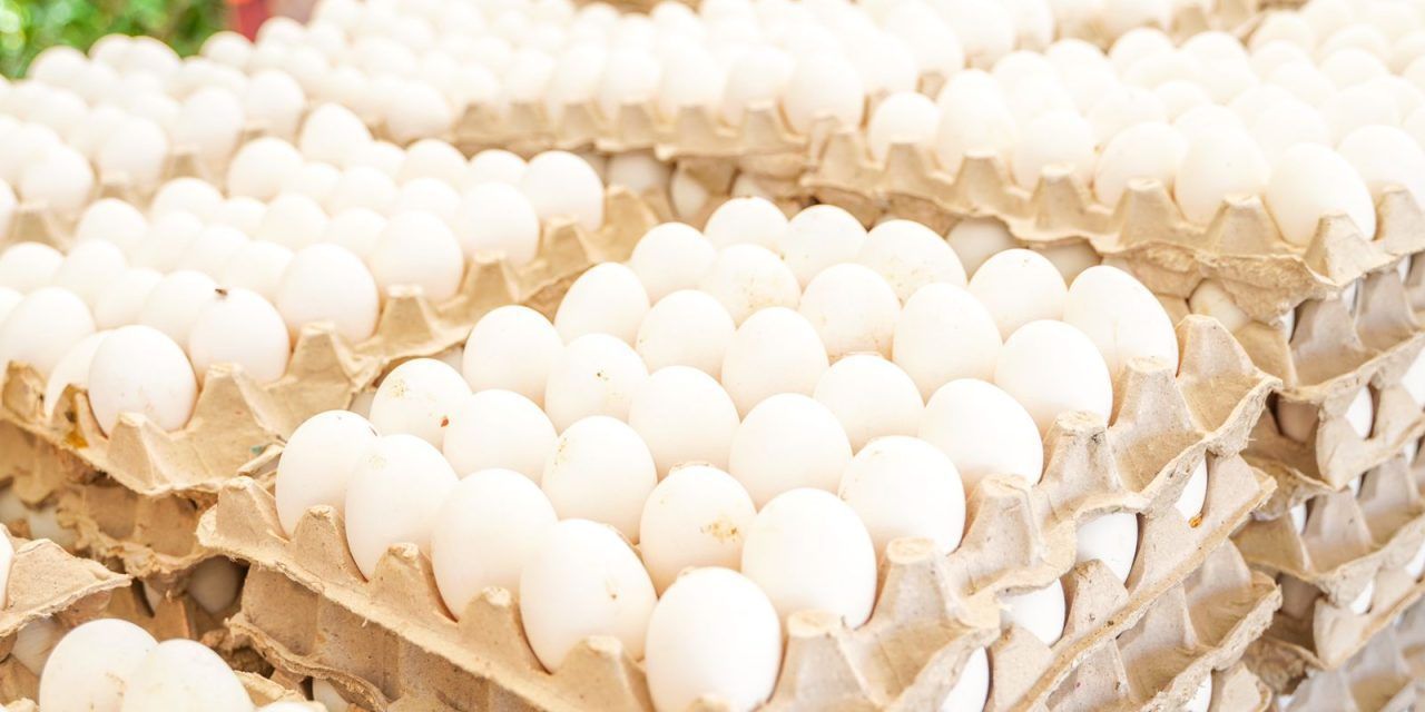 Gobierno dispone venta de cartones de huevos a 100 pesos este jueves en 76 supermercados a nivel nacional