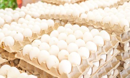 Gobierno dispone venta de cartones de huevos a 100 pesos este jueves en 76 supermercados a nivel nacional