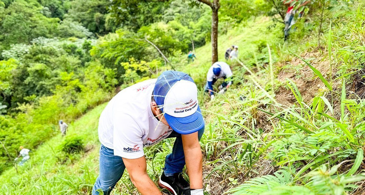 Edesur siembra 1,500 árboles en jornada de reforestación en Los Cacaos, San Cristóbal