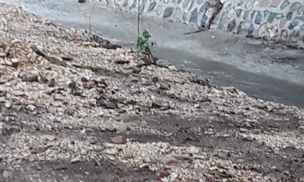 Ayuntamiento San Cristóbal concluye construcción muro de piedra encachado en Callejón Corporán en Canastica