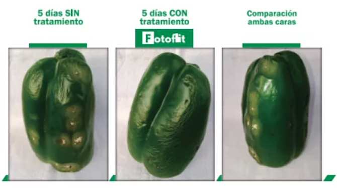Crean un desinfectante natural para frutas y verduras
