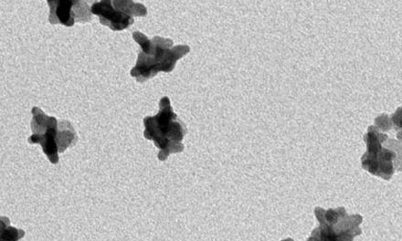 Logran monitorizar con rayos X la temperatura de nanopartículas en células tumorales