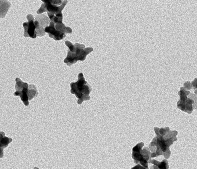 Logran monitorizar con rayos X la temperatura de nanopartículas en células tumorales
