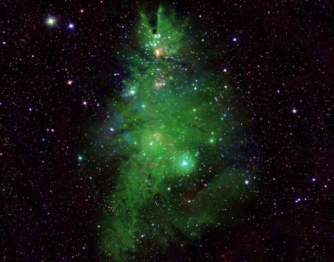 Un árbol de Navidad hecho de estrellas reales