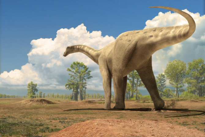La dentadura más completa de un titanosaurio encontrada en Europa