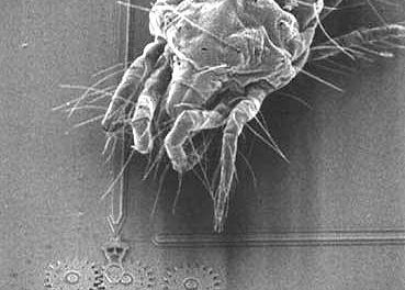 Los dispositivos microelectromecánicos