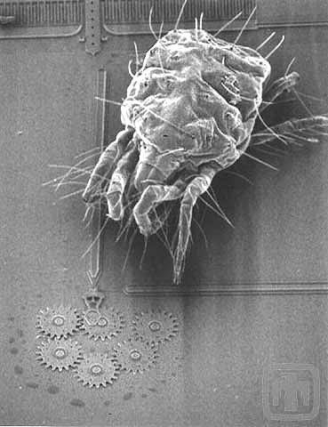Los dispositivos microelectromecánicos