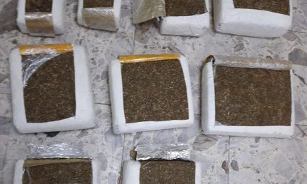 Arrestan conductor de vehículo con 66 libras de marihuana en Azua
