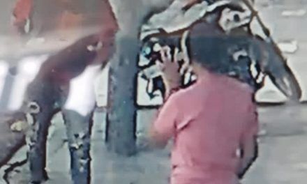Apresan hombre se había hecho viral tras despojar a una mujer de su cartera en Manoguayabo