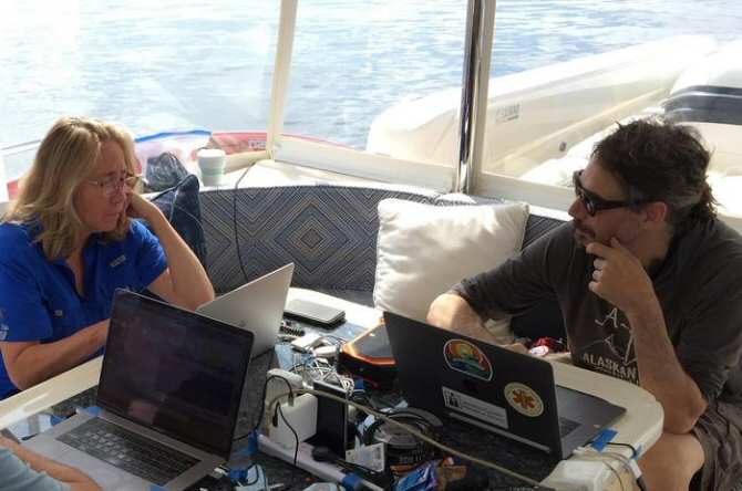 Comunicarse con ballenas, requisito previo para poder comunicarse con extraterrestres