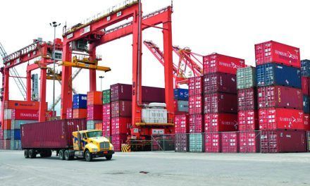 Importación de materias primas y bienes de consumo disminuyen en 2023