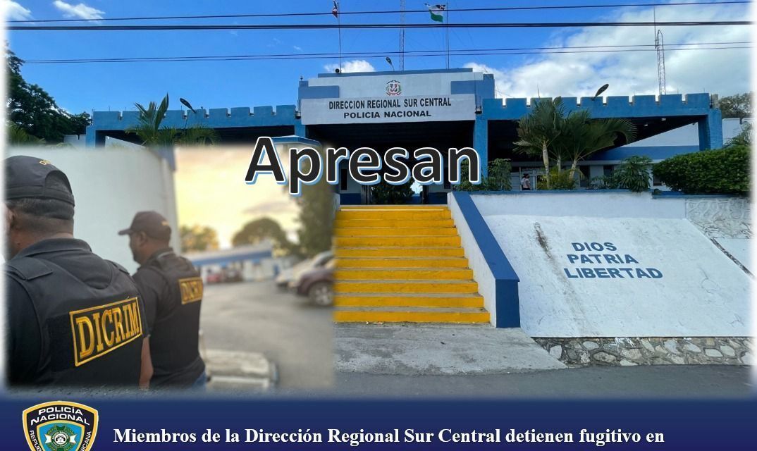 Miembros de la Dirección Regional Sur Central detienen fugitivo en Aeropuerto Internacional por caso de agresión armada