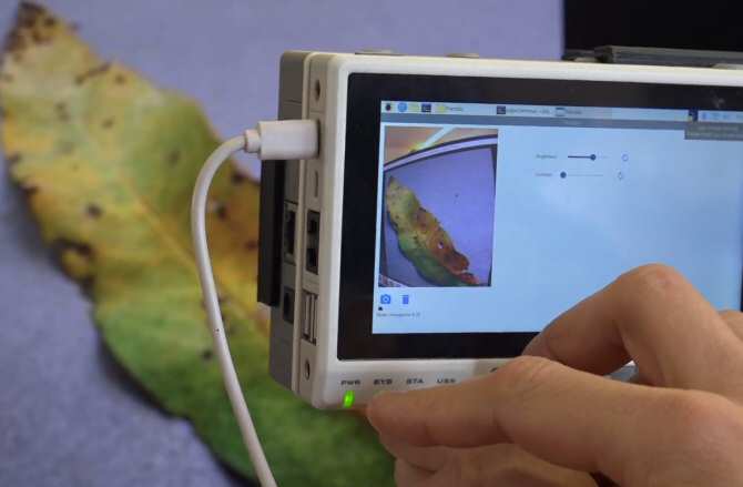 Inteligencia artificial para detección precoz de enfermedades en cultivos agrícolas