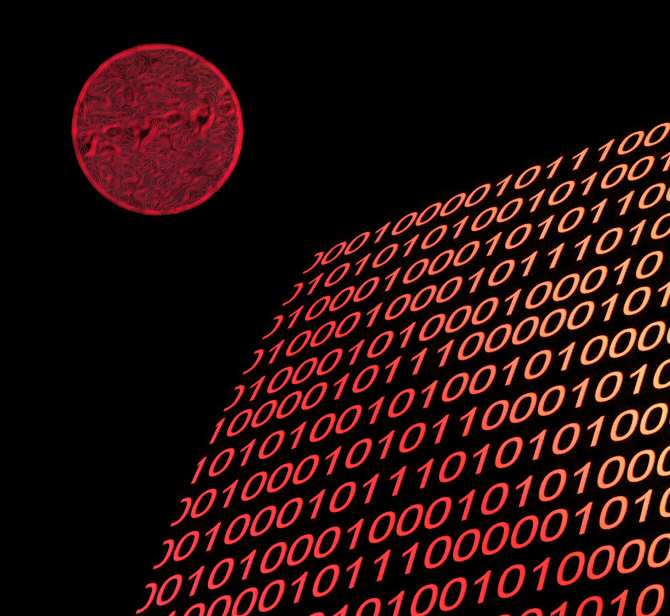 Redes neuronales para identificar mutaciones en el virus de la COVID-19