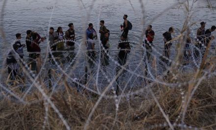 Algunos estados apoyan adoptar la ley de Texas