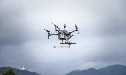 Drones para detectar cables de suministro eléctrico invadidos por vegetación