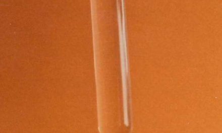 La ciencia de los grandes descubrimientos ¿es cada vez más elitista?