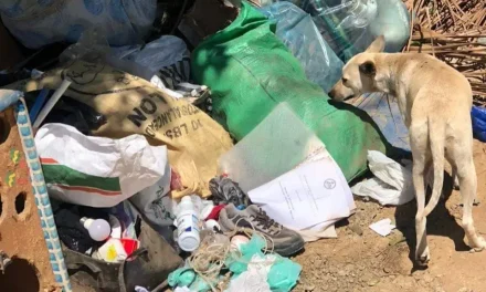 Ayuntamiento de Dajabón invierte en reparación de camiones y no resuelven la recolección de basura