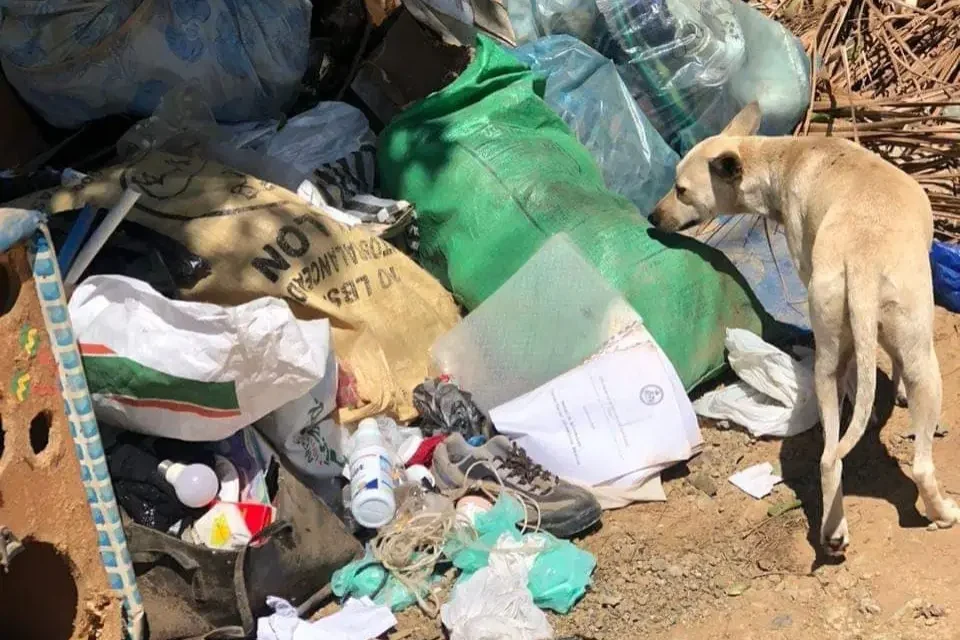 Ayuntamiento de Dajabón invierte en reparación de camiones y no resuelven la recolección de basura