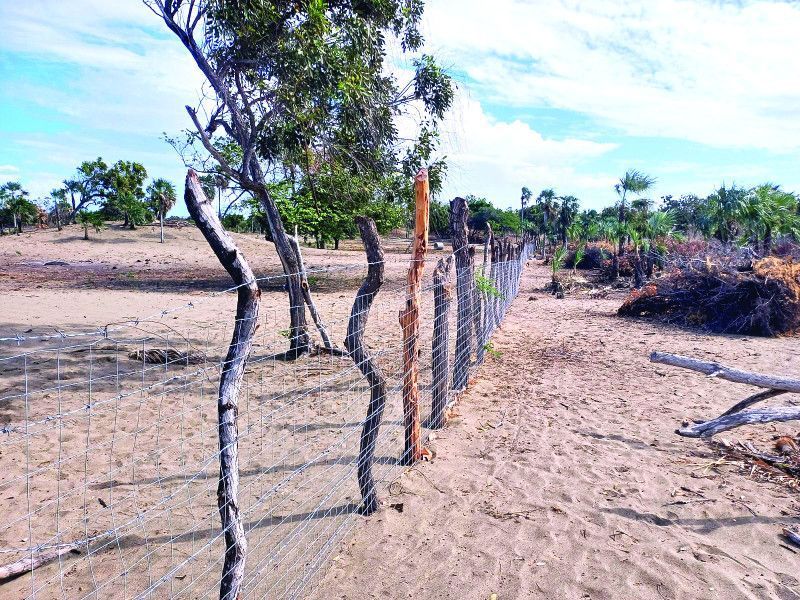Las dunas de Baní aún sin vigilancia
