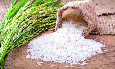 Estudio revela arroz que se consume en el país no tiene metales