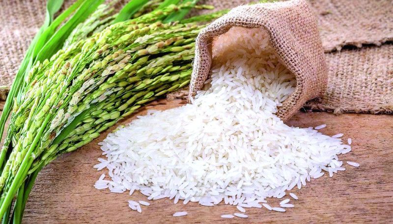 Estudio revela arroz que se consume en el país no tiene metales