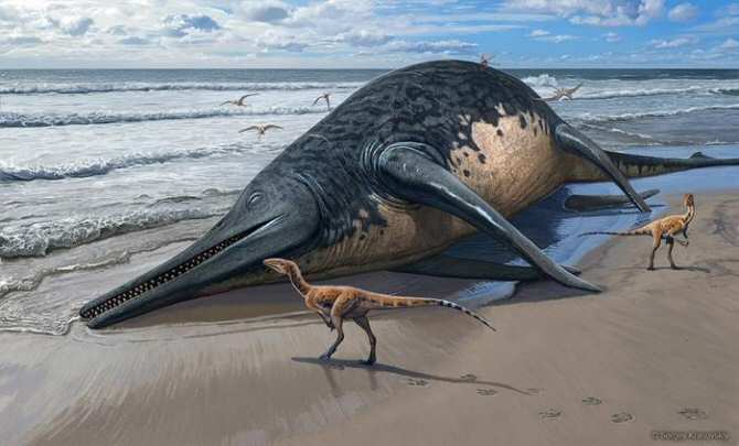 El reptil marino más grande que ha existido