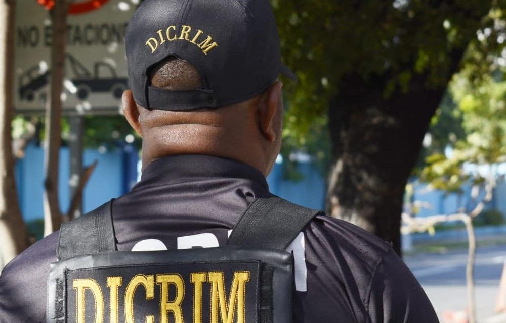 Acciones de la DICRIM contra la delincuencia permiten captura de nueve prófugos de la justicia y ocupación de 15 armas de fuego.