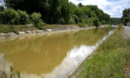 Desaparecido un haitiano que se lanzó a canal huyendo de agentes de Migración en Santiago