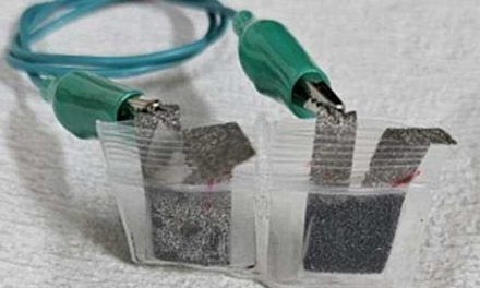 Grasa de pollo como componente de supercondensadores