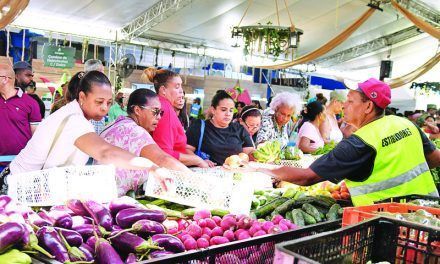 Economista refuta familias cubran costo de la canasta básica