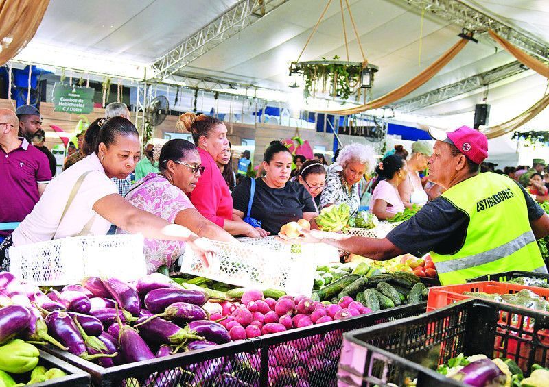 Economista refuta familias cubran costo de la canasta básica