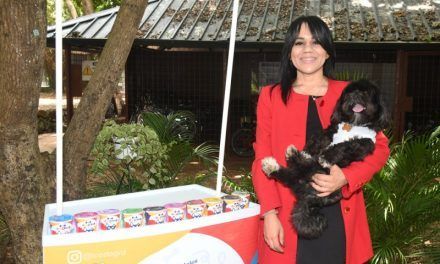 ¡Helados para tus peludos! Una delicia refrescante para consentir a tu mascota