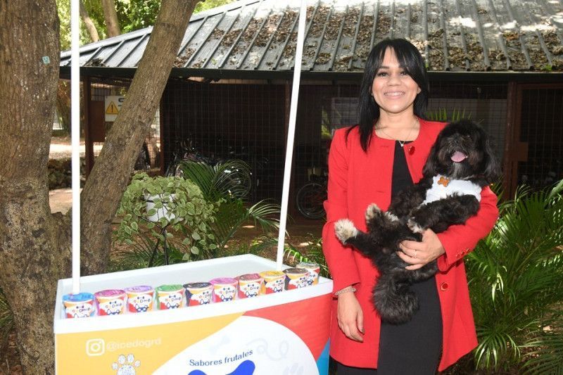 ¡Helados para tus peludos! Una delicia refrescante para consentir a tu mascota