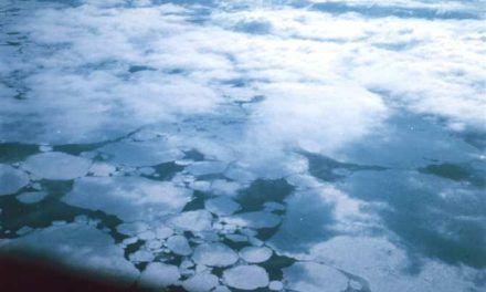 La causa del récord de poca extensión de hielo en el océano Antártico