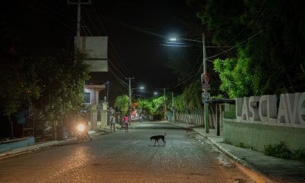 Edesur ilumina el distrito municipal Las Clavellinas y la comunidad de Los Tramojos en Azua