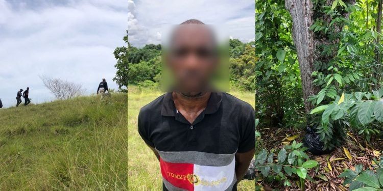 Apresan hombre que ultimó a su pareja sentimental en San Cristóbal