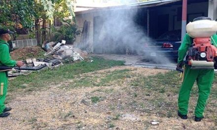 Área de Salud #3 continúa jornada descacharrización y fumigación contra el dengue