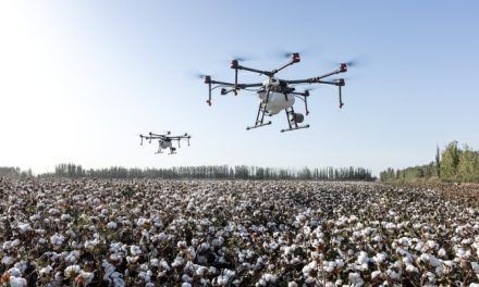 Aplicaciones de la inteligencia artificial en la agricultura de precisión