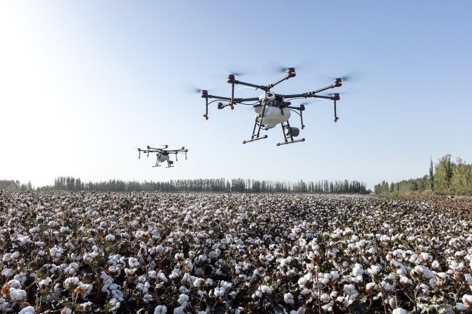 Aplicaciones de la inteligencia artificial en la agricultura de precisión