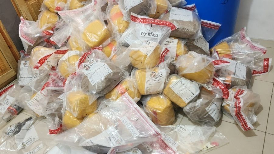 Tres detenidos y 500 libras de marihuana incautadas durante allanamientos en Santiago