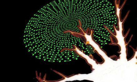Inteligencia artificial para un mejor diagnóstico de tumores cerebrales