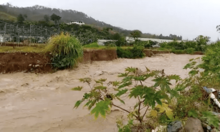 Lluvias desbordan ríos en la región Norte